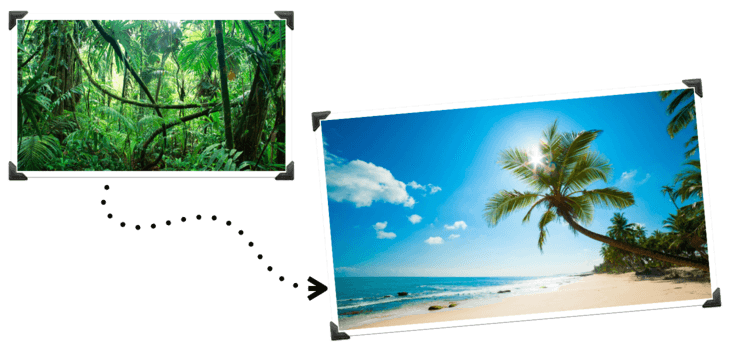 Journey out of the jungle of jobs